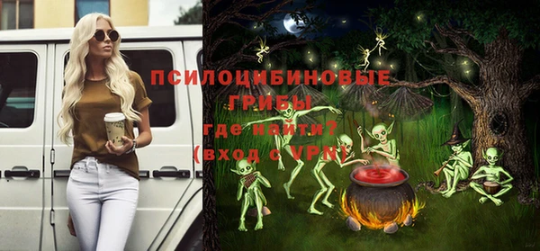 стаф Абаза