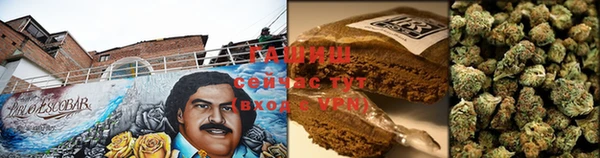 стаф Абаза