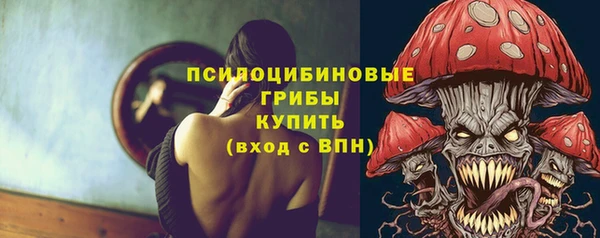 стаф Абаза