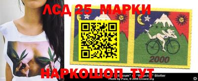 индика Малгобек
