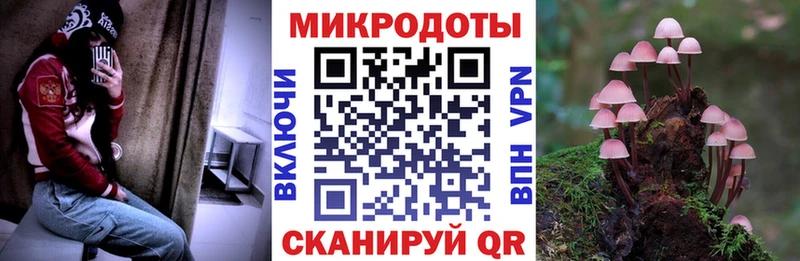 Галлюциногенные грибы ЛСД Заволжье