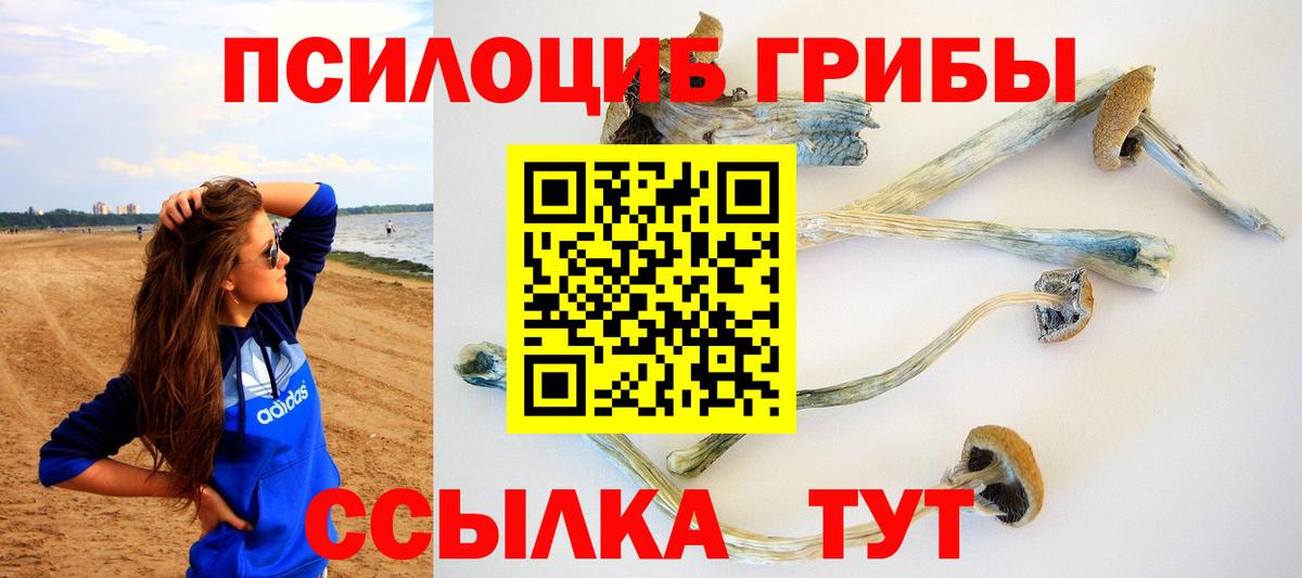 Псилоцибиновые грибы прущие грибы Заволжье
