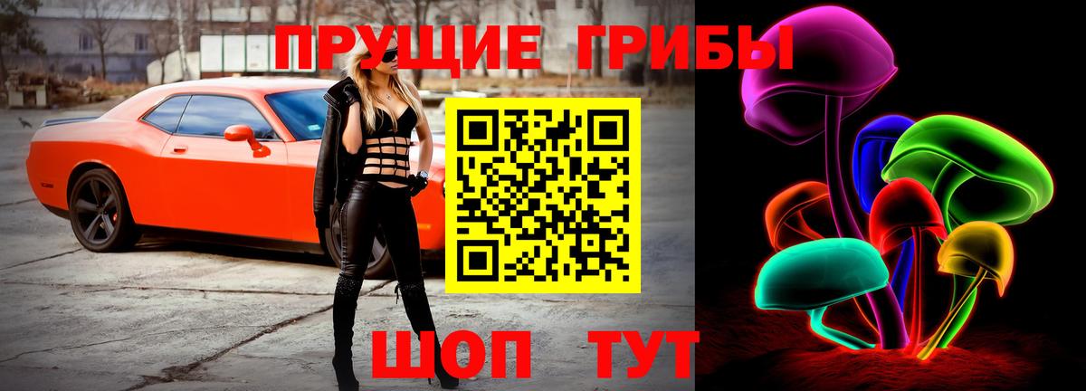Заволжье  Псилоцибиновые грибы мухоморы  Вход с VPN  Галлюциногенные грибы мухоморы 