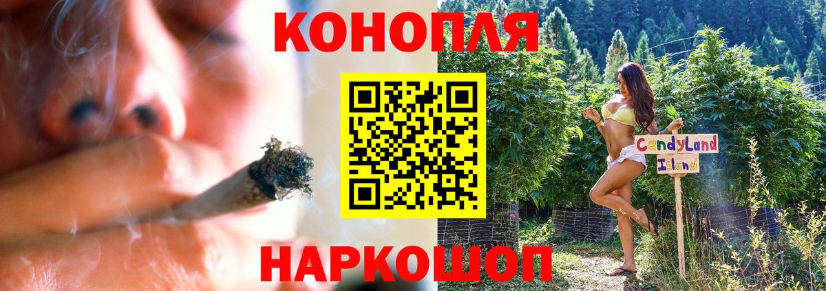 Бошки марихуана сатива Заволжье